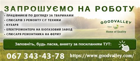 каліш робота для жінок|Робота в Калуші ᐈ Вітрина оголошень